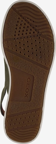 GEOX Sandále - Zelená