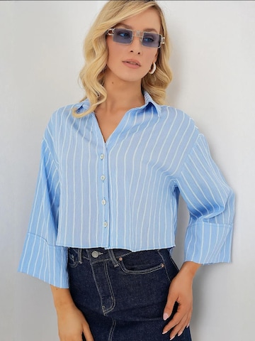 Bigdart Blouse in Blauw