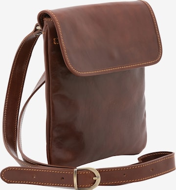 Viola Castellani Crossbody bag in Brown: front