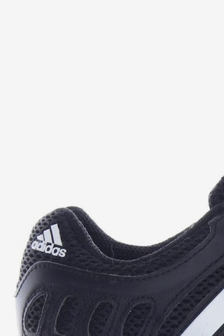 ADIDAS PERFORMANCE Sneakers & Trainers in 39,5 in Black