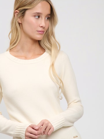 Influencer Pullover in Beige