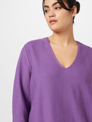 SAMOON Sweter w kolorze fioletowy