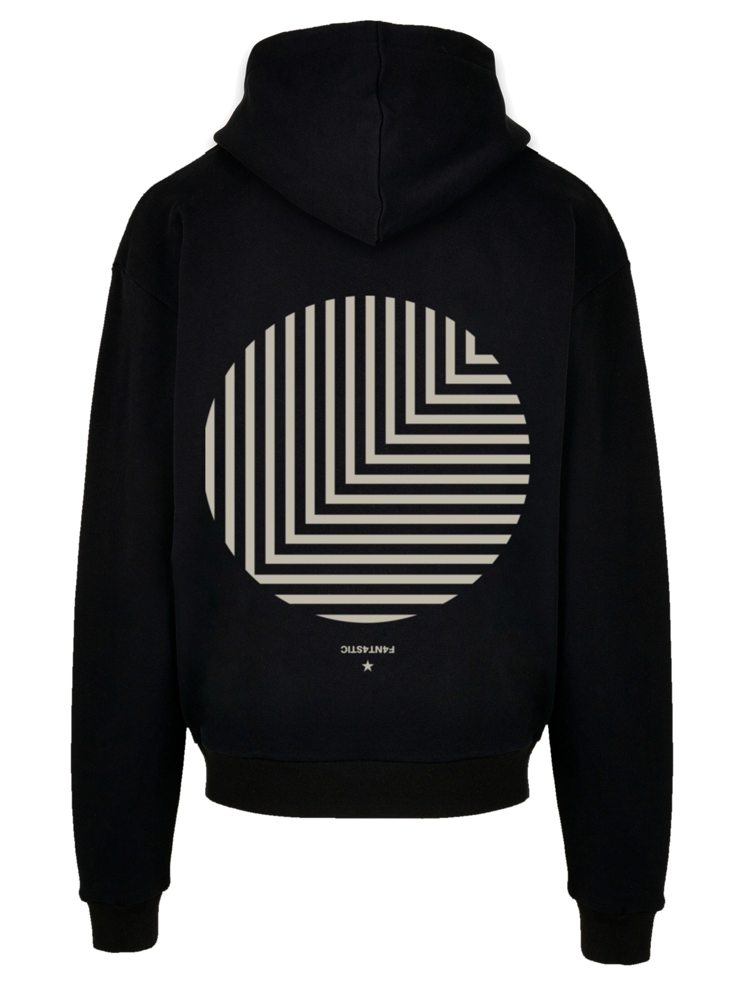 F4NT4STIC Sweatshirt 'Geometrics' in Zwart