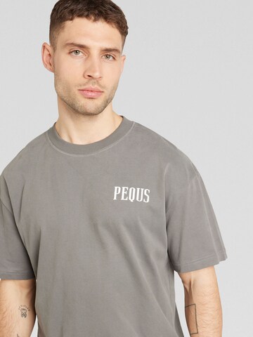 Pequs Shirt in Grey