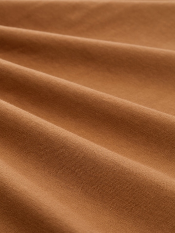 TOM TAILOR Shirt in Brown