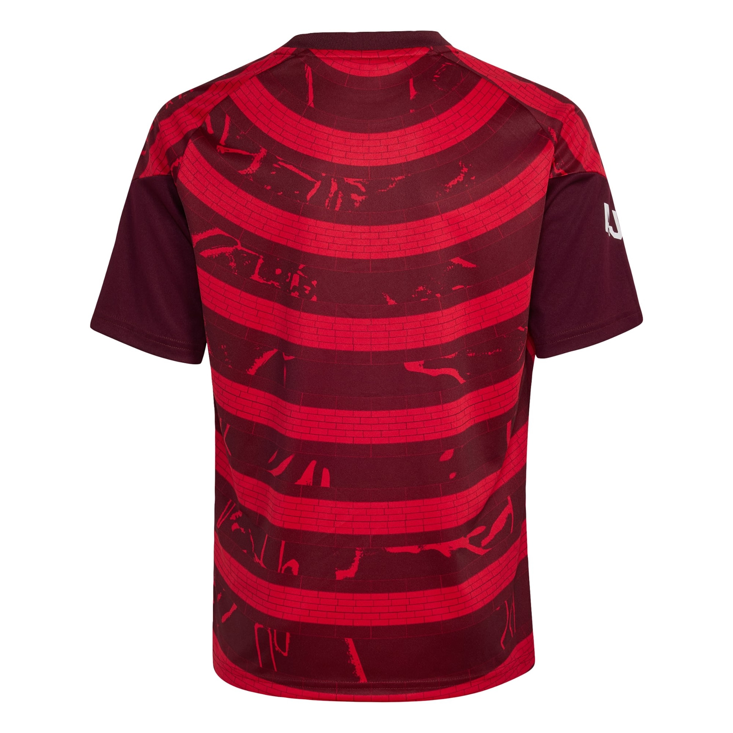 ADIDAS PERFORMANCE Funkční tričko 'Ajax 26/27' – červená