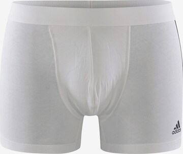 ADIDAS SPORTSWEAR Sports underpants ' BASIC ' in Mixed colours