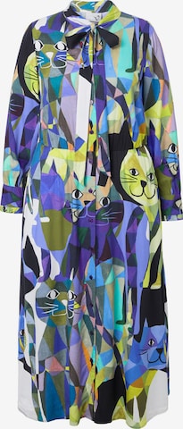 Ulla Popken Kleid in Mischfarben: Vorderseite