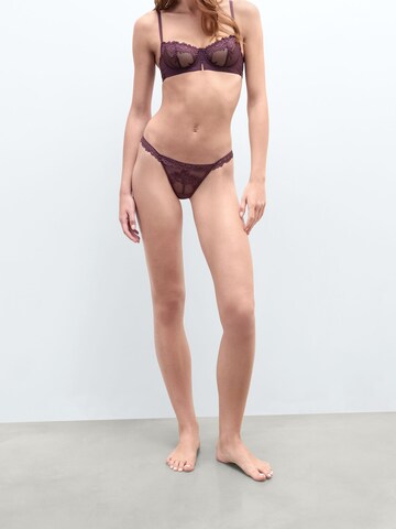 INTIMISSIMI Thong 'Pretty Flowers' in Purple: front