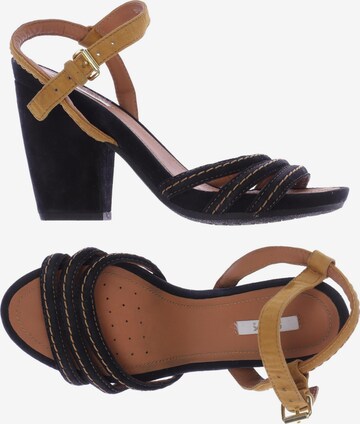 GEOX Sandals & High-Heeled Sandals in 36 in Black: front