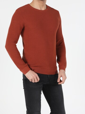 Colin's Trui in Rood