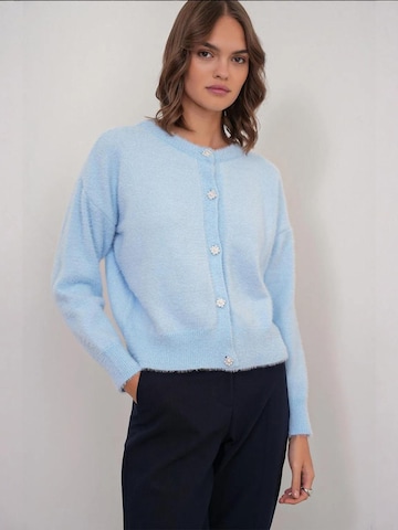 MixRay Gebreid vest 'Strickjacken' in Blauw: voorkant