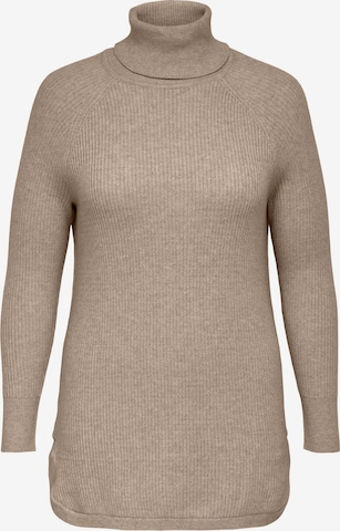 ONLY Carmakoma Pullover 'Fia Katia' in Braun: predná strana