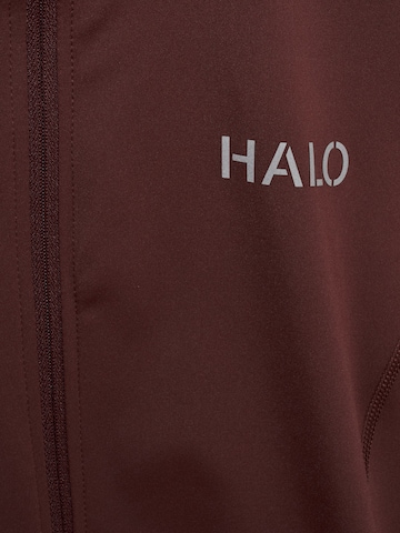 HALO Trainingsjack in Bruin