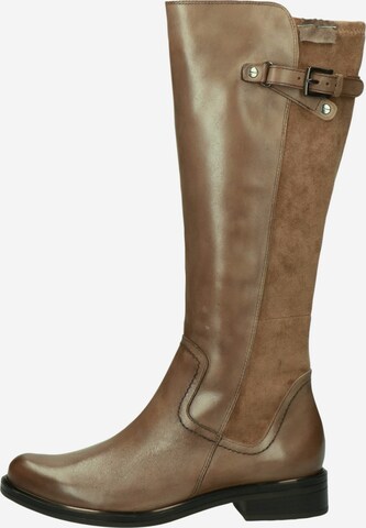 Bottes CAPRICE en marron