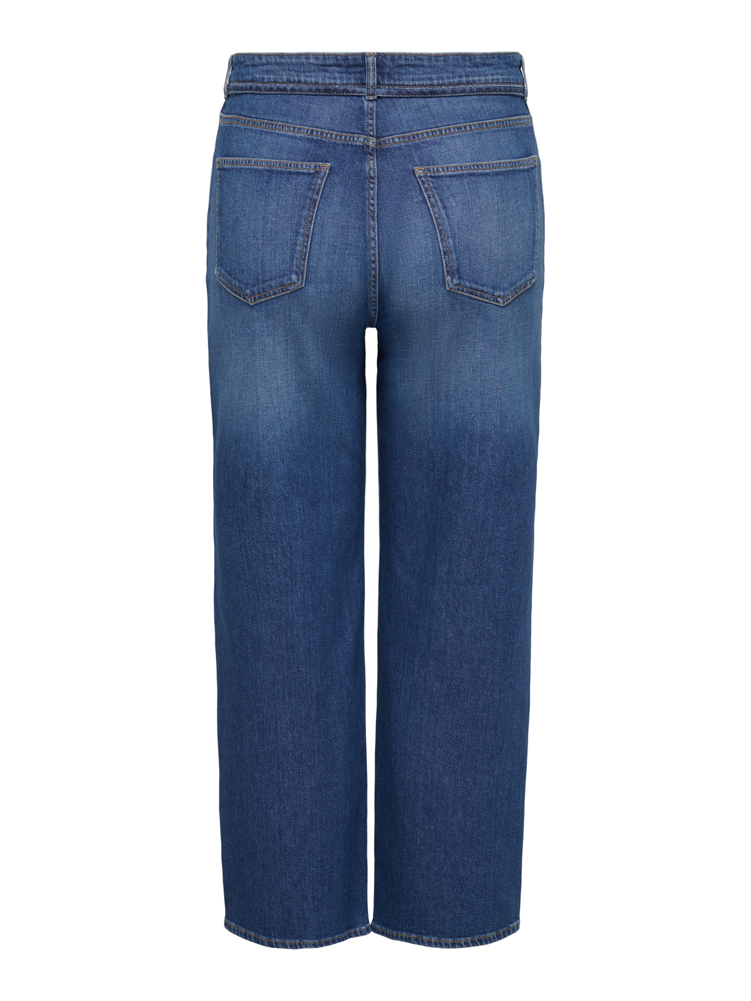 ONLY Carmakoma regular Jeans 'CARGIANNA' i blå: tilbage