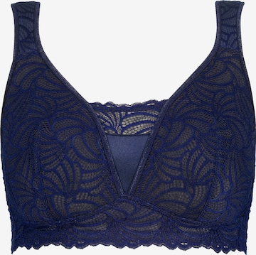 Ulla Popken Bralette Bra in Blue: front