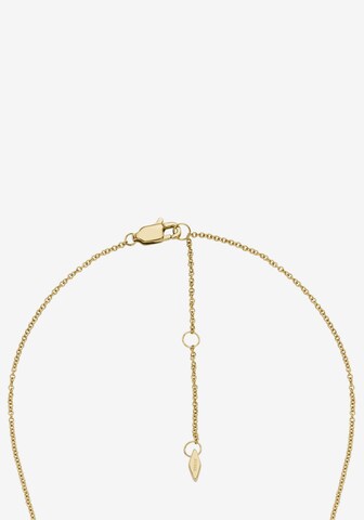 FOSSIL Necklace in Gold