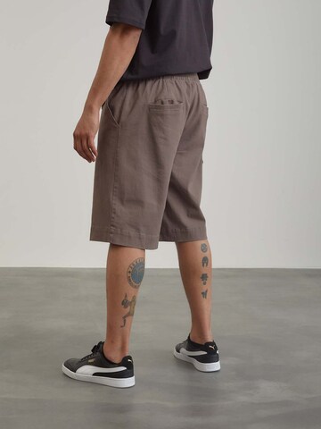 ABOUT YOU x Benny Cristo Regular Pants 'Ron' in Grey