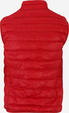 Gilet di EA7 Emporio Armani in rosso