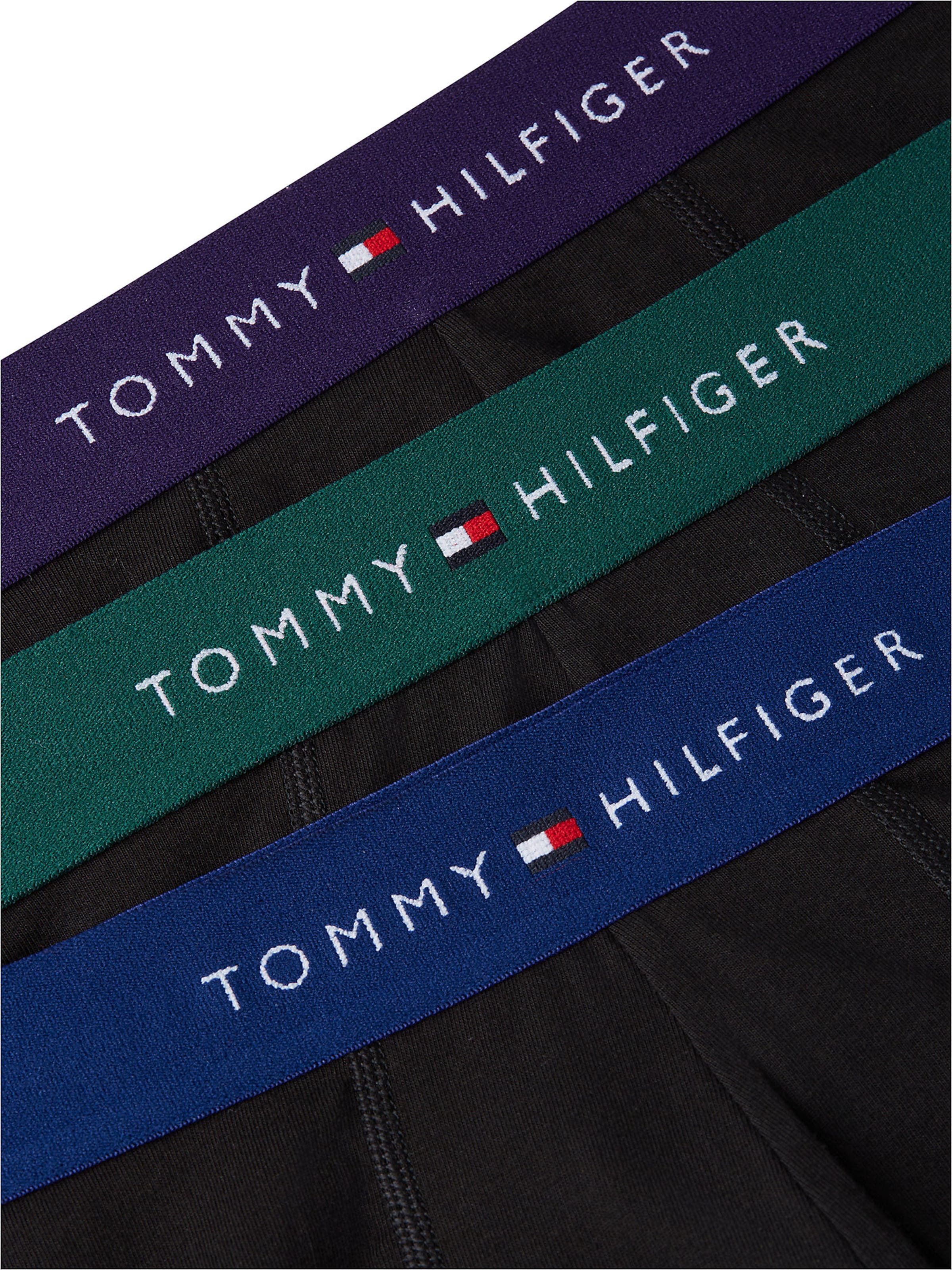 Tommy Hilfiger Underwear Boxer shorts in Blue