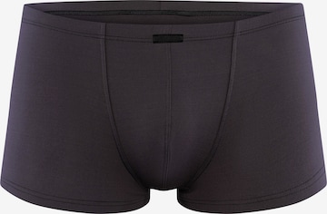 Manstore Boxer shorts ' M2623 Micro Pants ' in Grey: front