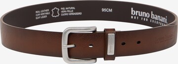 Ceinture ' CHASE ' BRUNO BANANI en marron : devant