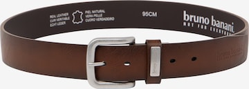BRUNO BANANI Belt ' CHASE ' in Brown: front