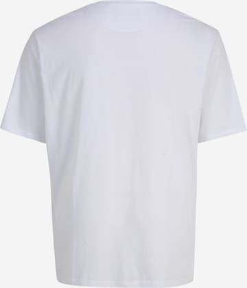 T-Shirt Lyle & Scott Big&Tall en blanc