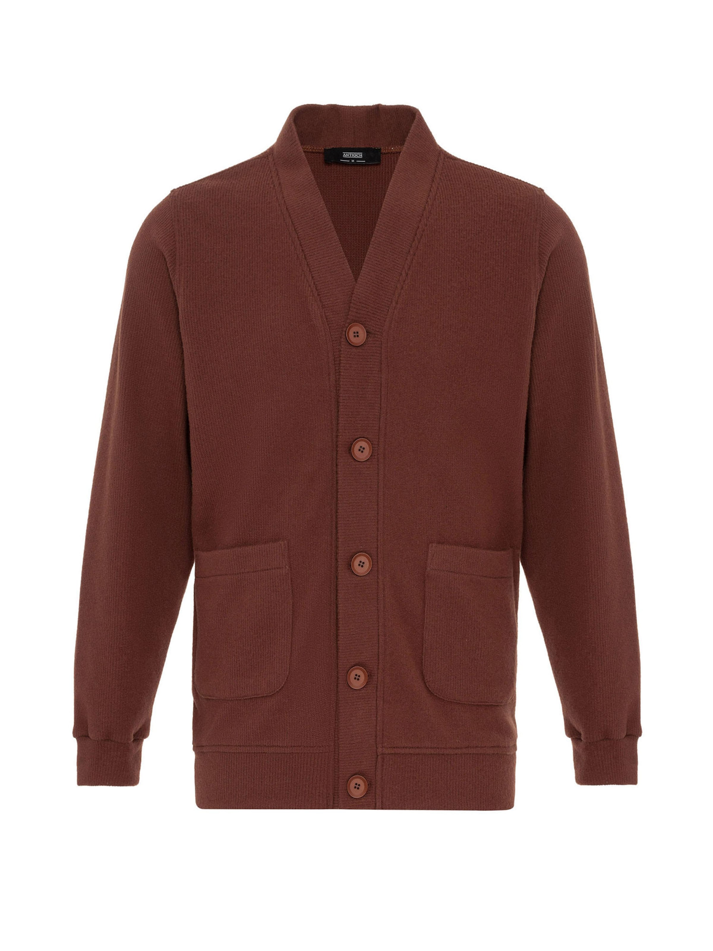 Vestes en maille Antioch en marron : devant