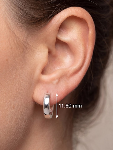 Jobo Earrings in Silver