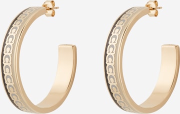 COACH Earrings in Gold: front