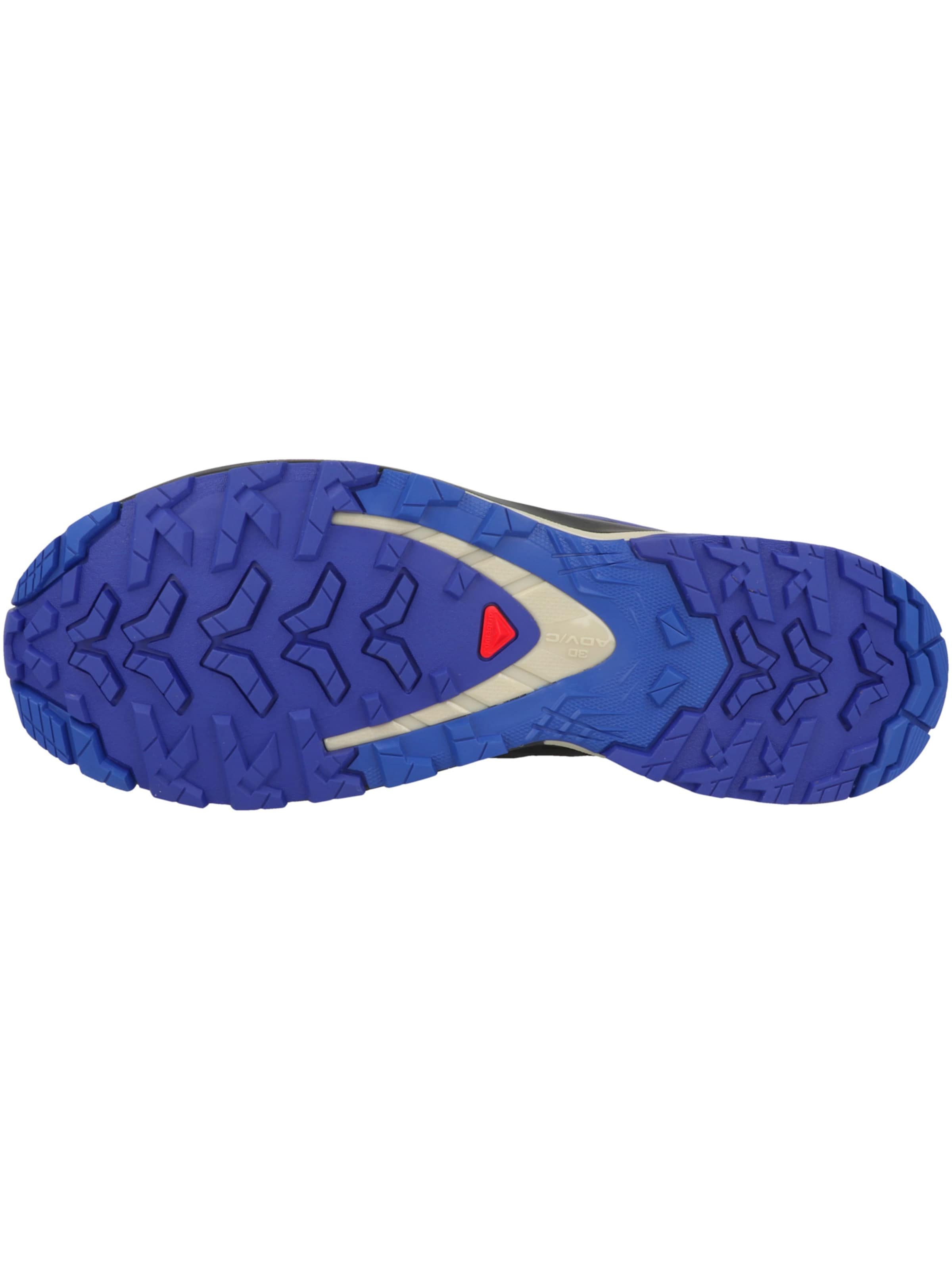 SALOMON - Zapatillas de running 'Xa Pro 3D V9' en azul