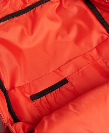 Superdry Rucksack in Orange