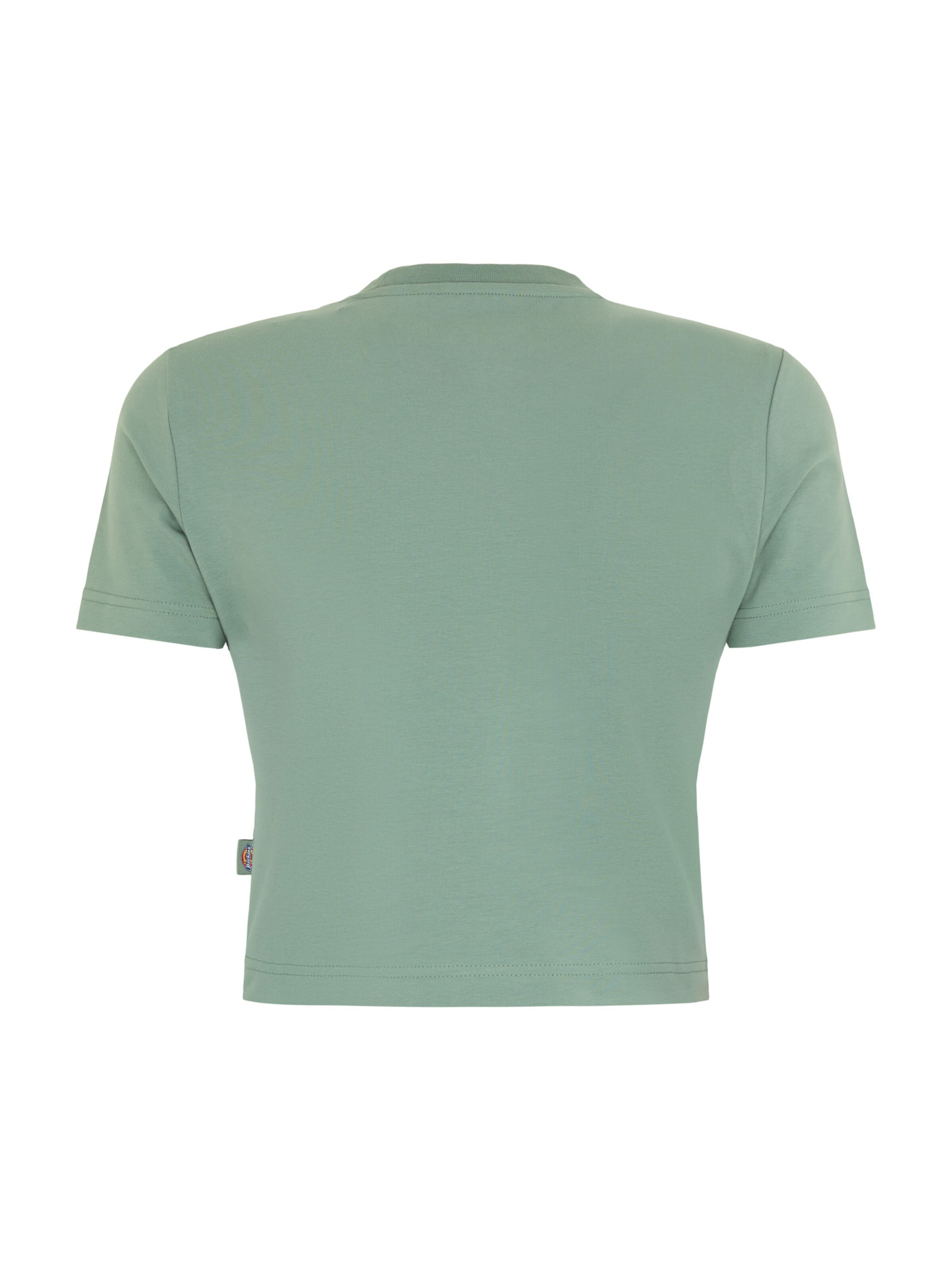 DICKIES Shirt 'Maple Valley' in Green