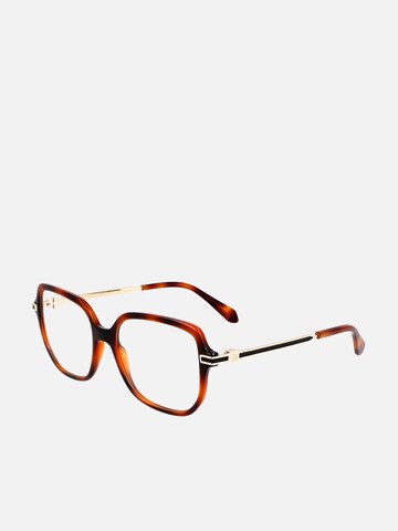 FERRAGAMO - Gafas de sol 'Ferragamo SF3012 Transparent green 53/16/140 WOMAN Eyewear Frame' en marrón: frente