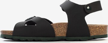 Bayton Sandal 'Pegase' i svart