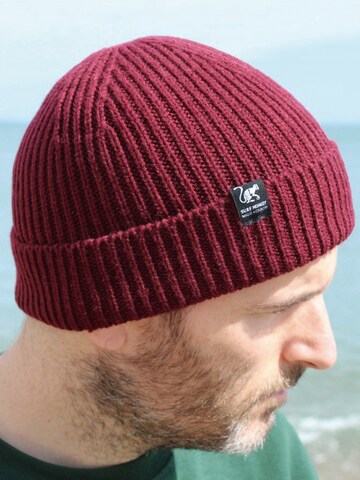 Surf Monkey - Gorra en rojo