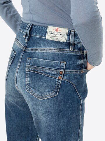 Slimfit Jeans di Herrlicher in blu