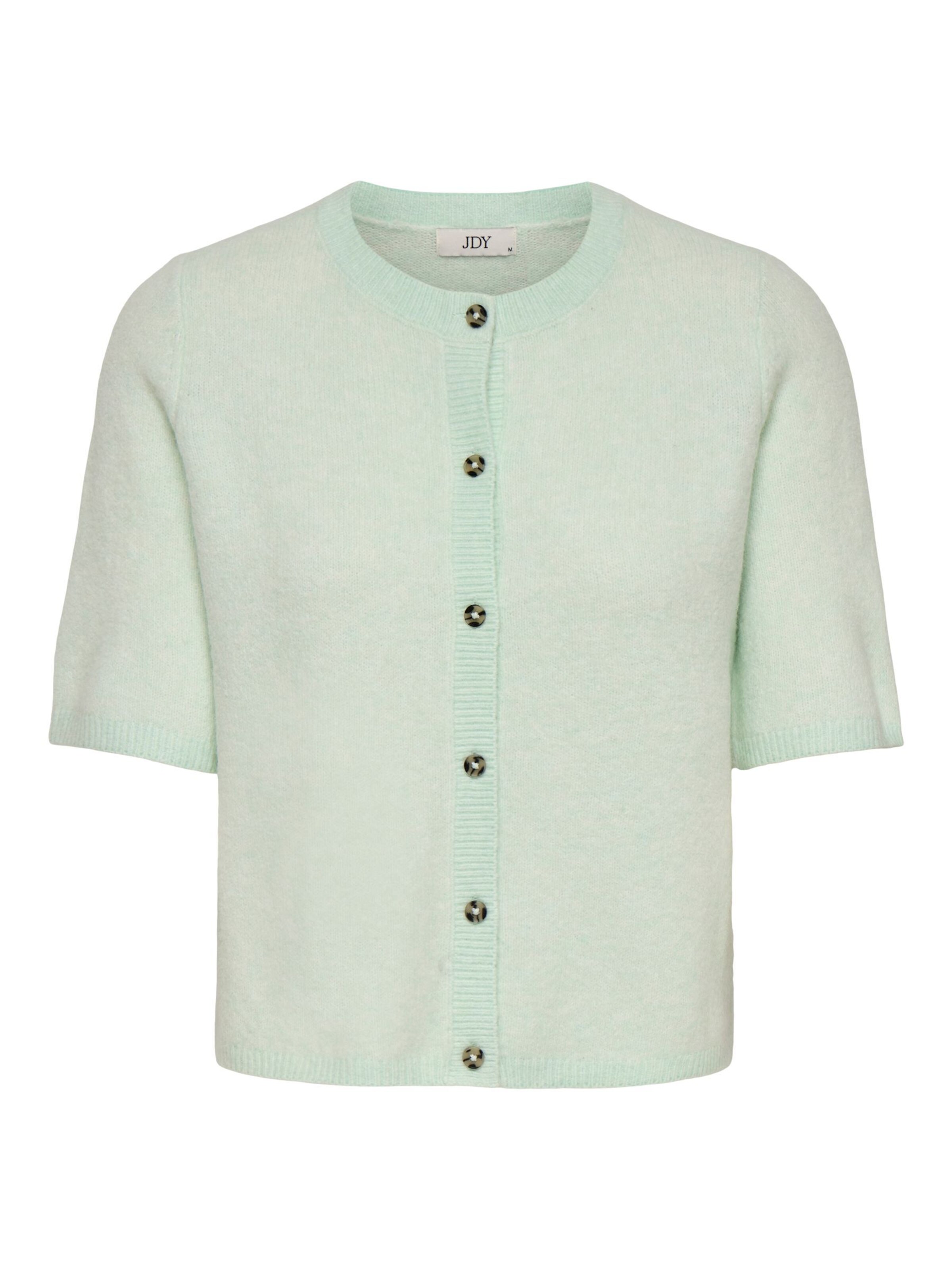 JDY Hose 'JDYChloe' in Grün: Vorderseite