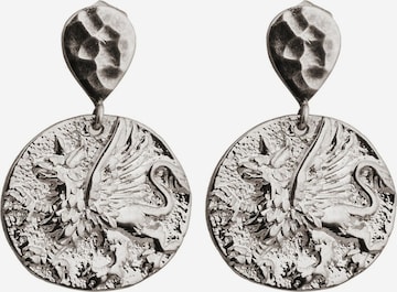 Gemshine Oorbellen in Zilver: voorkant