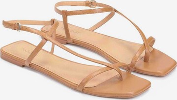 Kazar T-Bar Sandals in Brown