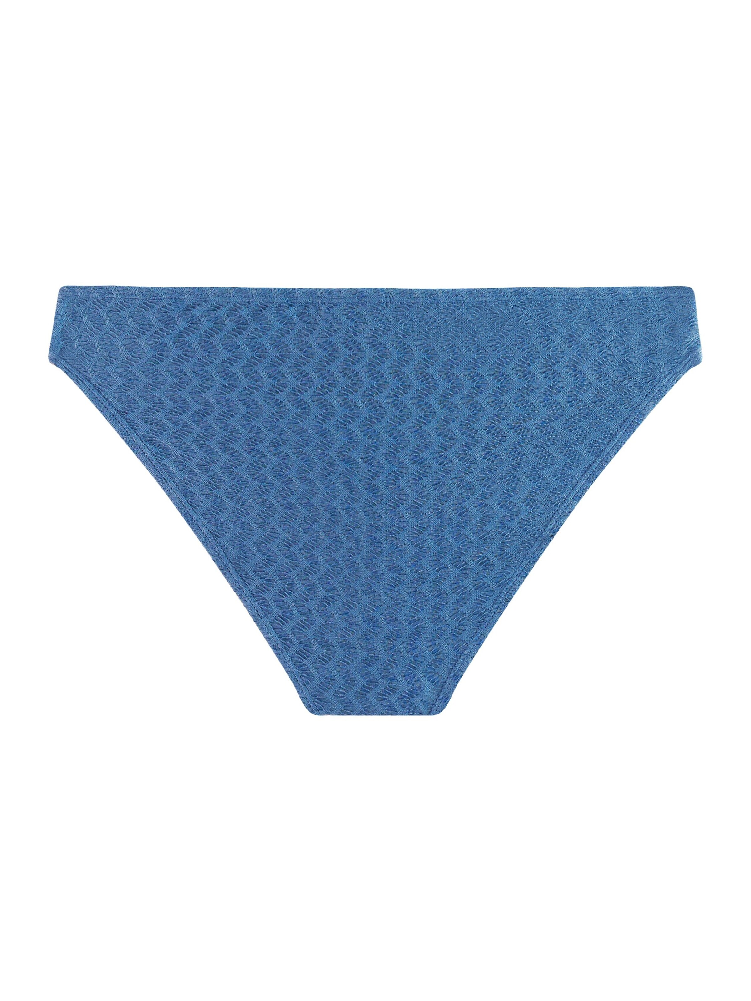 PROTEST Bikinibroek 'MIXSpheri' in Blauw