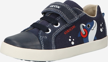 Sneaker 'KILWI' di GEOX in blu: frontale