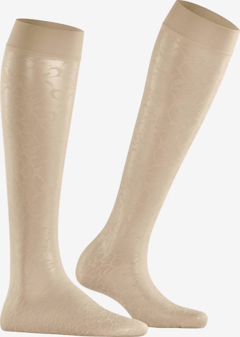 FALKE Overknee Strümpfe 'Soft Spell' in Beige: Vorderseite