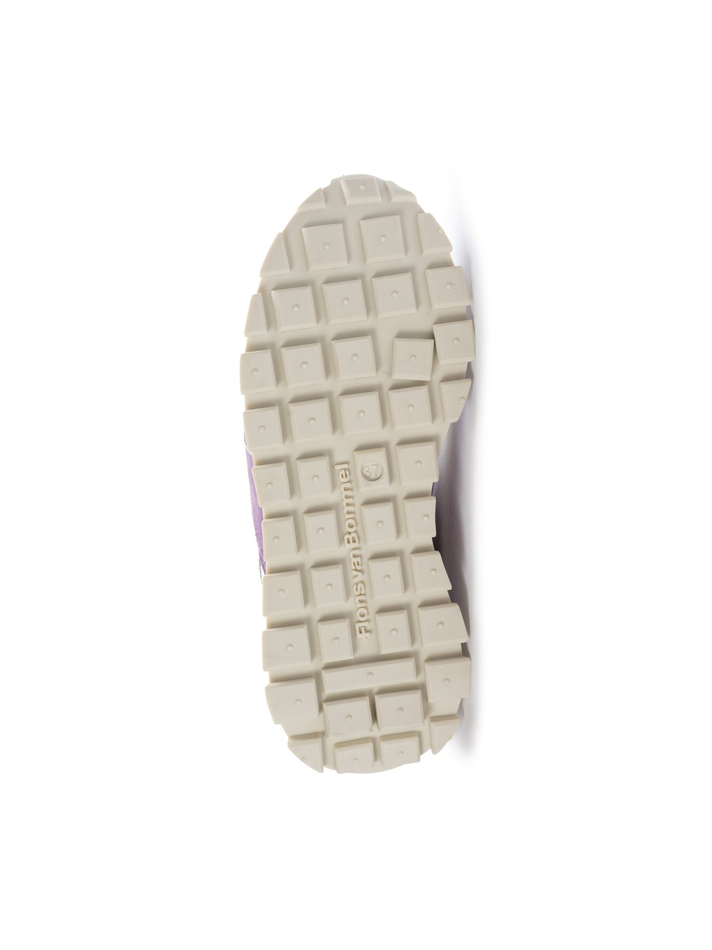 Sneaker bassa di Floris van Bommel in lilla