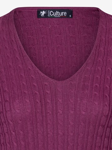 DENIM CULTURE Sweater 'Verla' in Purple