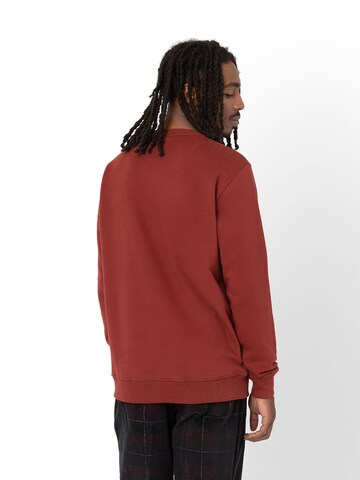 DICKIES Sweatshirt 'AITKIN' i rød