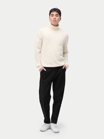 GOBI Cashmere Pullover 'Men's Essential Turtleneck Cashmere Sweater'‌ in Weiß