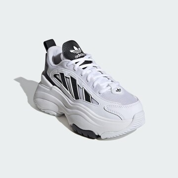 ADIDAS ORIGINALS Sneakers 'Ozgaia' in White